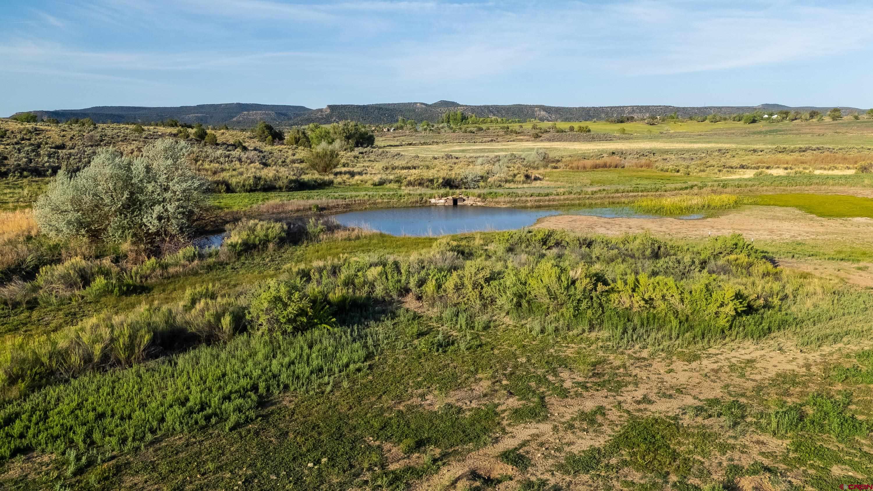 777 County Road 977 Ignacio, CO 81137 - Photo 25 of 45