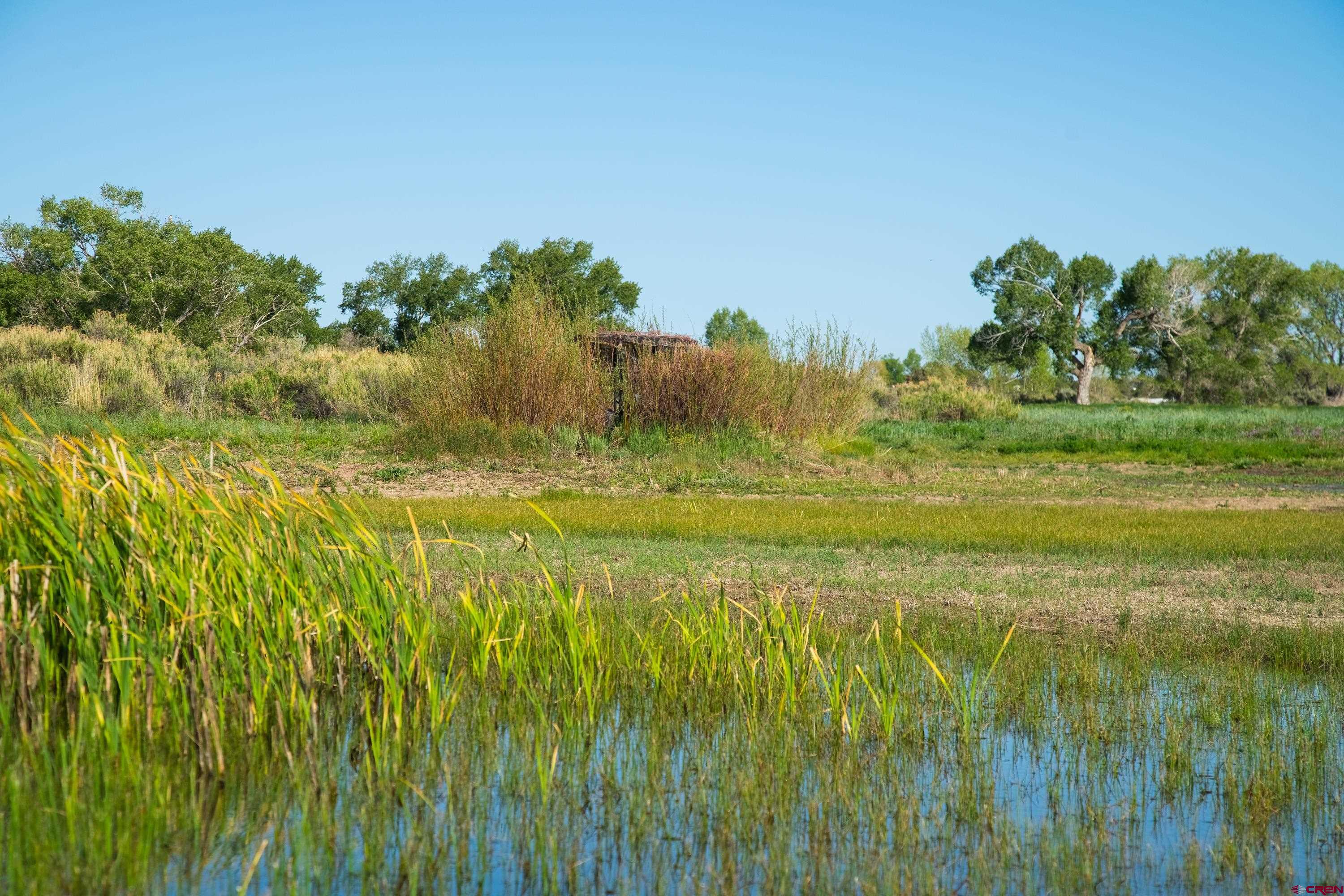 777 County Road 977 Ignacio, CO 81137 - Photo 35 of 45 a view of a lake with a big yard
