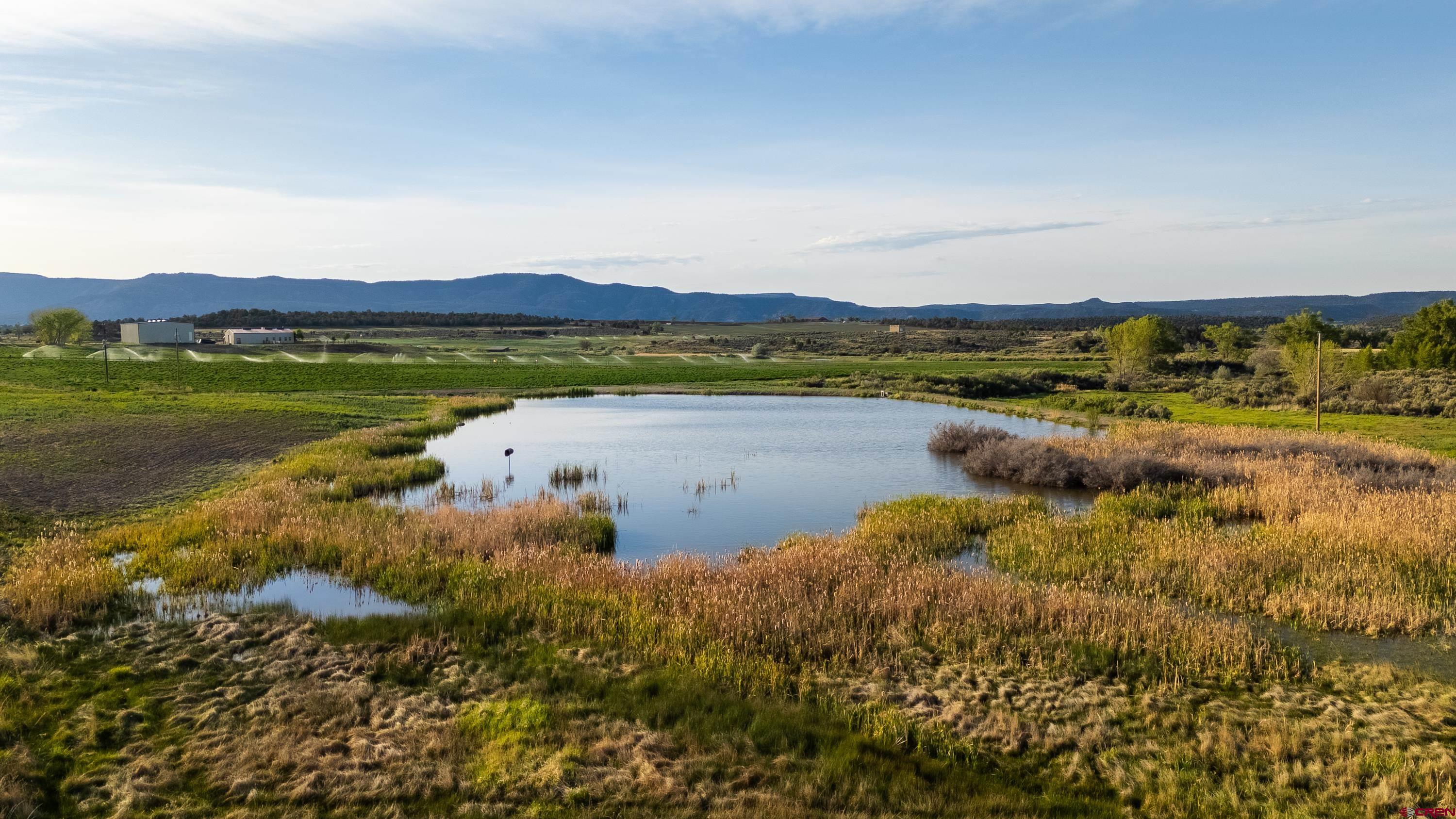 777 County Road 977 Ignacio, CO 81137 - Photo 37 of 45