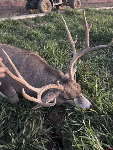 $1,800,000 | 777 County Road 977, Ignacio, CO 81137