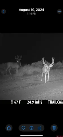 $1,800,000 | 777 County Road 977, Ignacio, CO 81137