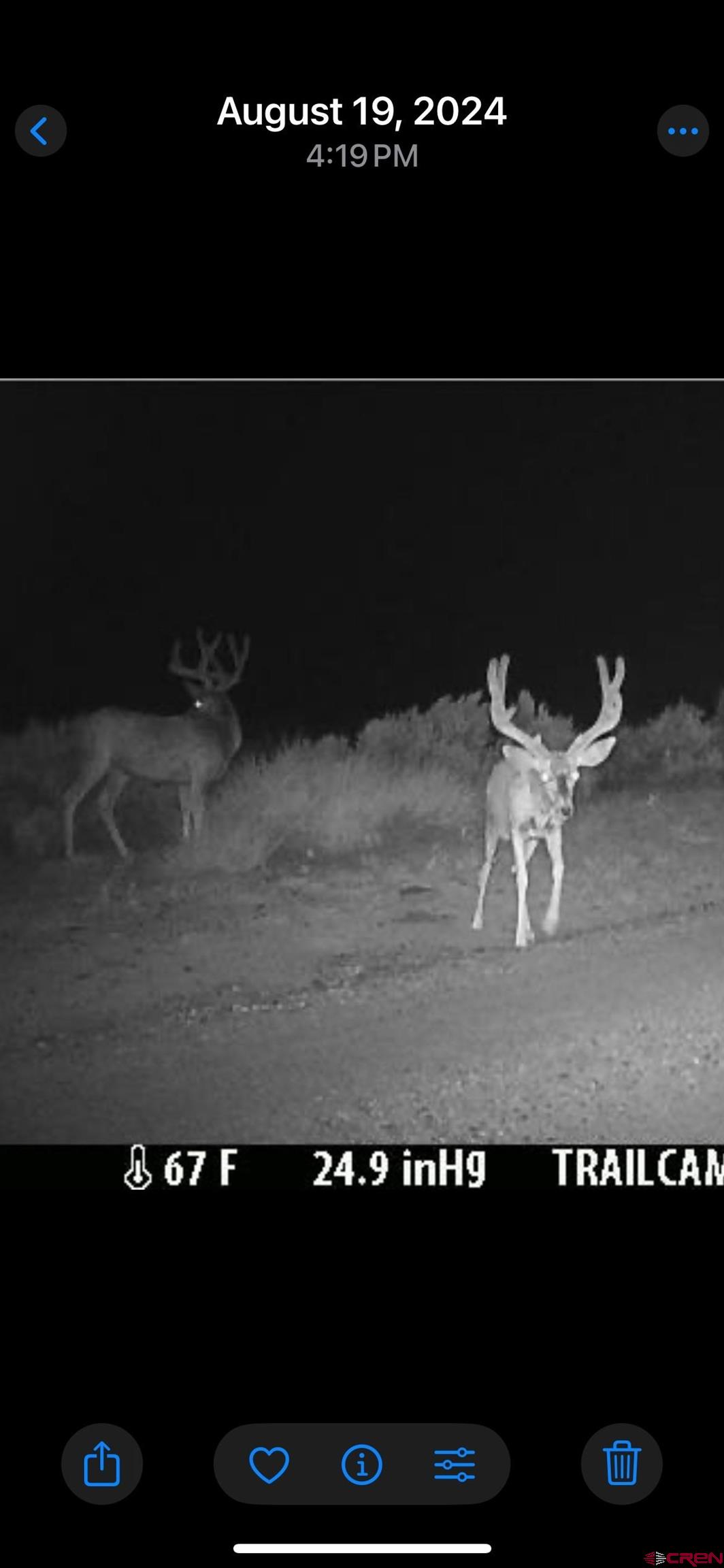 777 County Road 977 Ignacio, CO 81137 - Photo 41 of 45