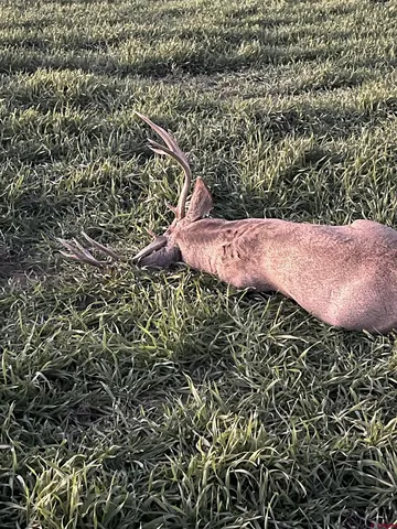 $1,800,000 | 777 County Road 977, Ignacio, CO 81137