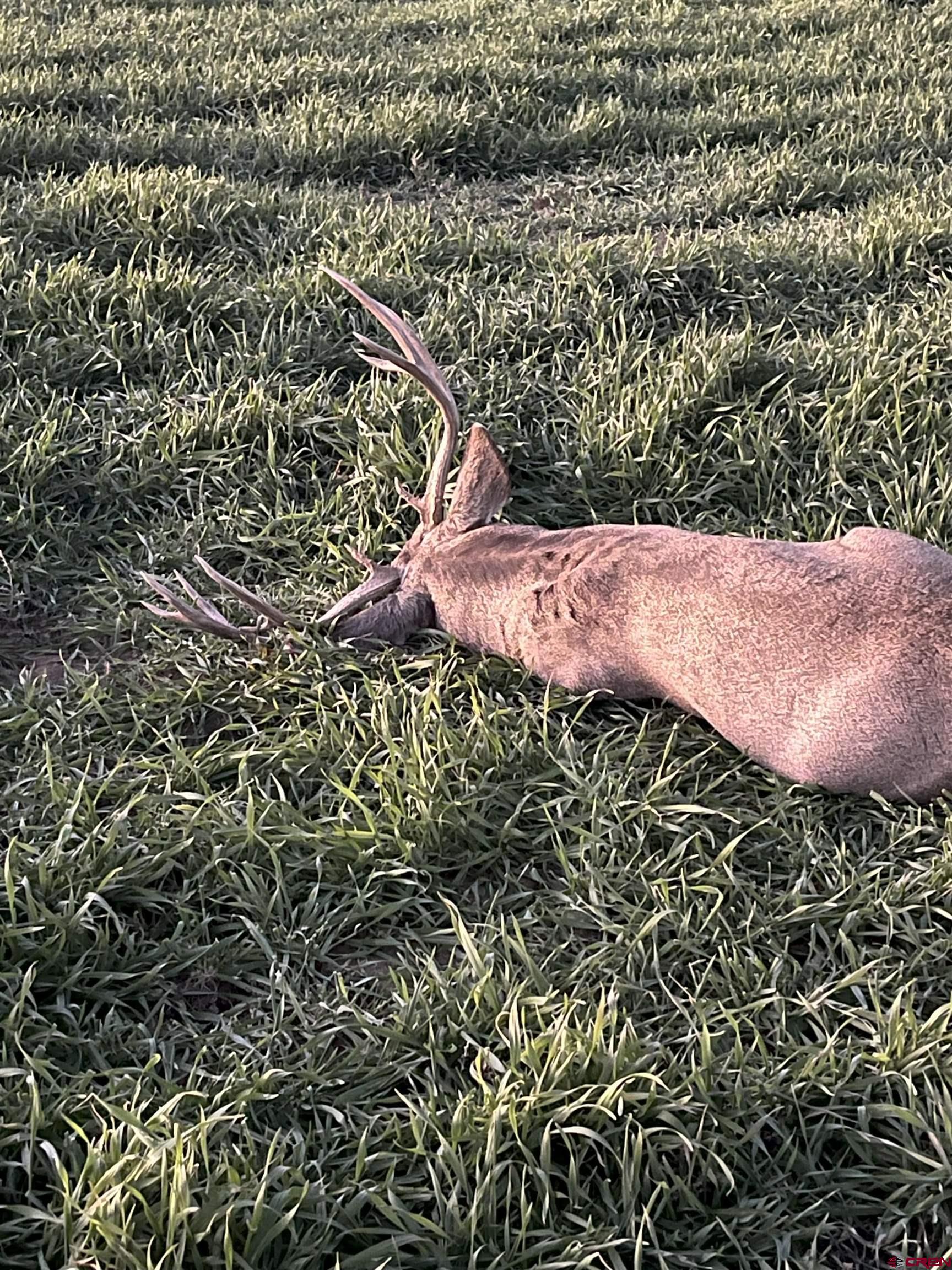 777 County Road 977 Ignacio, CO 81137 - Photo 42 of 45