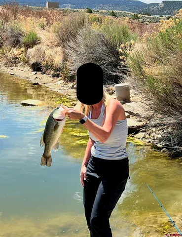 a living room with furniture and windows