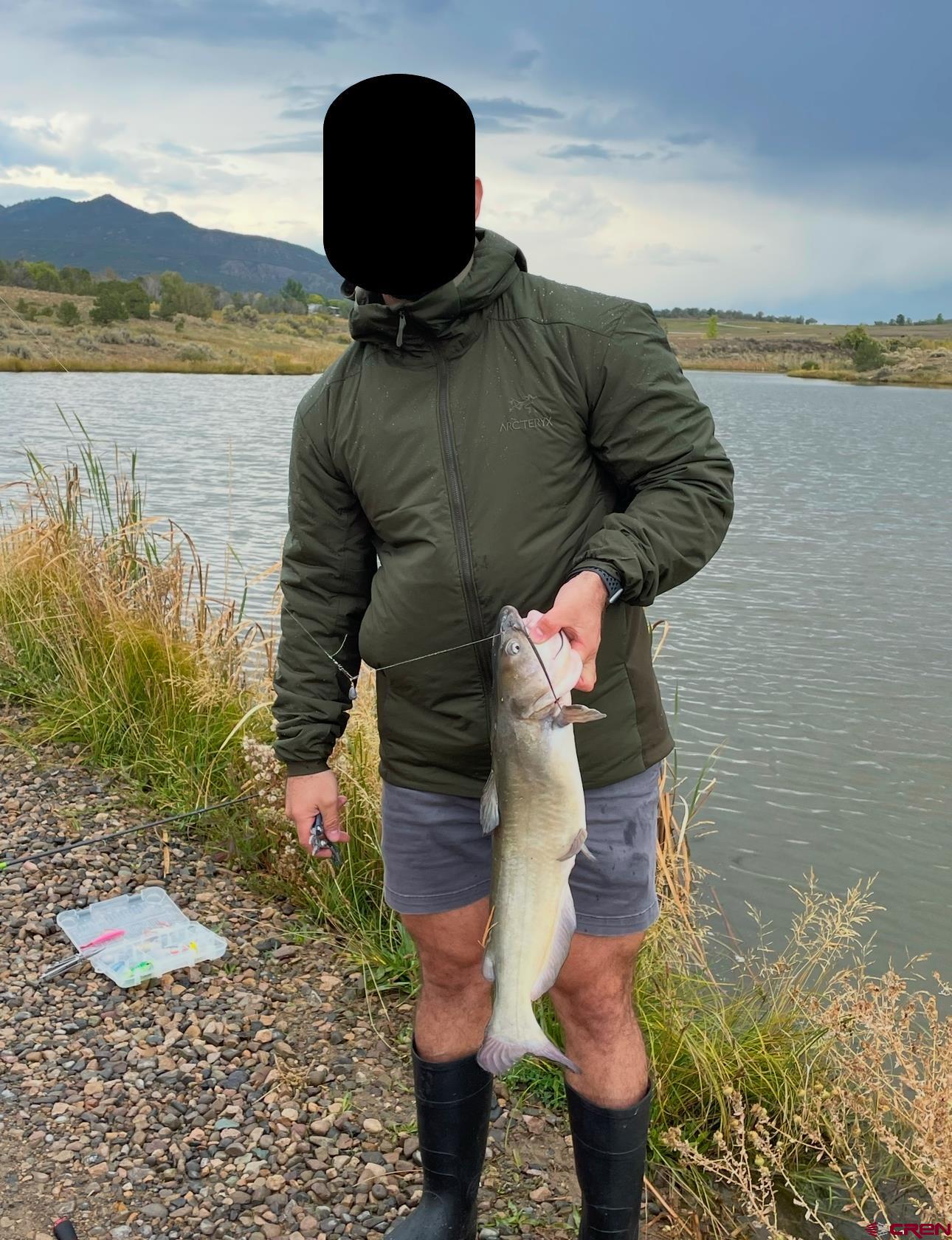 777 County Road 977 Ignacio, CO 81137 - Photo 6 of 45