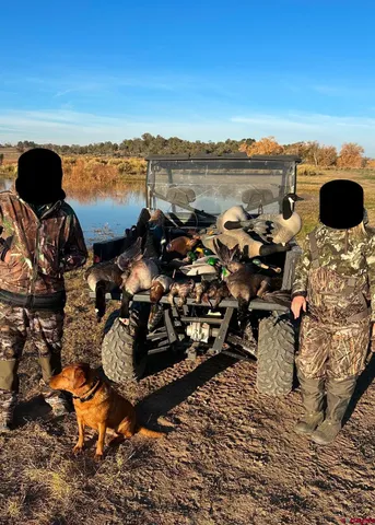 a bathroom with a sink toilet a mirror and shower