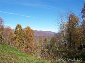 0 Red Bank Road Waynesville, NC 28786 - Photo 1 of 12 a view of a yard