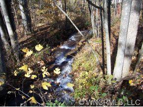 0 Red Bank Road Waynesville, NC 28786 - Photo 2 of 12 a picture of tree