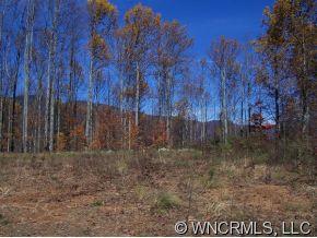 0 Red Bank Road Waynesville, NC 28786 - Photo 11 of 12 a view of a dry yard with trees in the background
