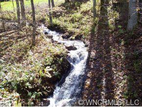 0 Red Bank Road Waynesville, NC 28786 - Photo 3 of 12 a view of a forest with a tree
