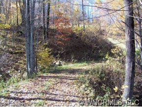0 Red Bank Road Waynesville, NC 28786 - Photo 4 of 12 a view of a yard with large trees