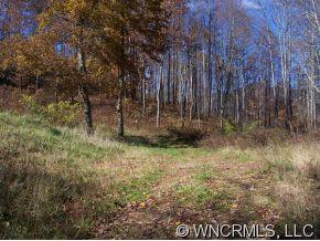 0 Red Bank Road Waynesville, NC 28786 - Photo 5 of 12 a view of backyard with green space