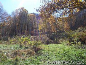 0 Red Bank Road Waynesville, NC 28786 - Photo 6 of 12 a view of a yard with large trees