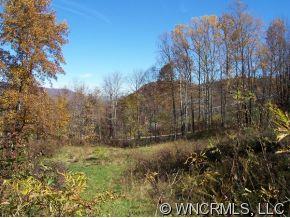 0 Red Bank Road Waynesville, NC 28786 - Photo 7 of 12
