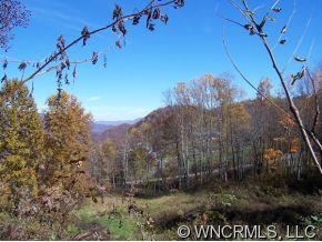 0 Red Bank Road Waynesville, NC 28786 - Photo 9 of 12 a view of a yard