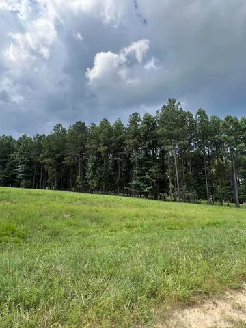 $99,900 | Lot 81 Crockett Loop, Unit 81, Jasper, TN 37347