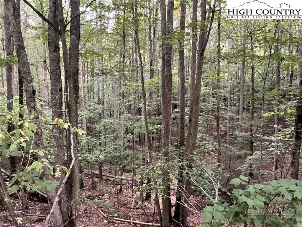 145 Raccoon Road Beech Mountain, NC 28604 - Photo 1 of 5
