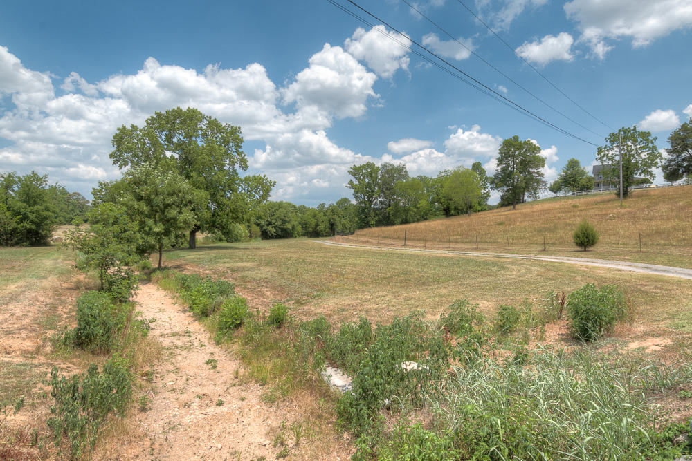 10802 Meadowview Road Georgetown, TN 37336 - Photo 24 of 51 _MG_0510