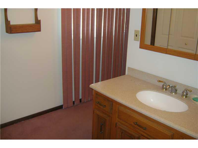 1022 Wren Drive McKees Rocks, PA 15136 - Photo 16 of 21 Master Bath/Spa.