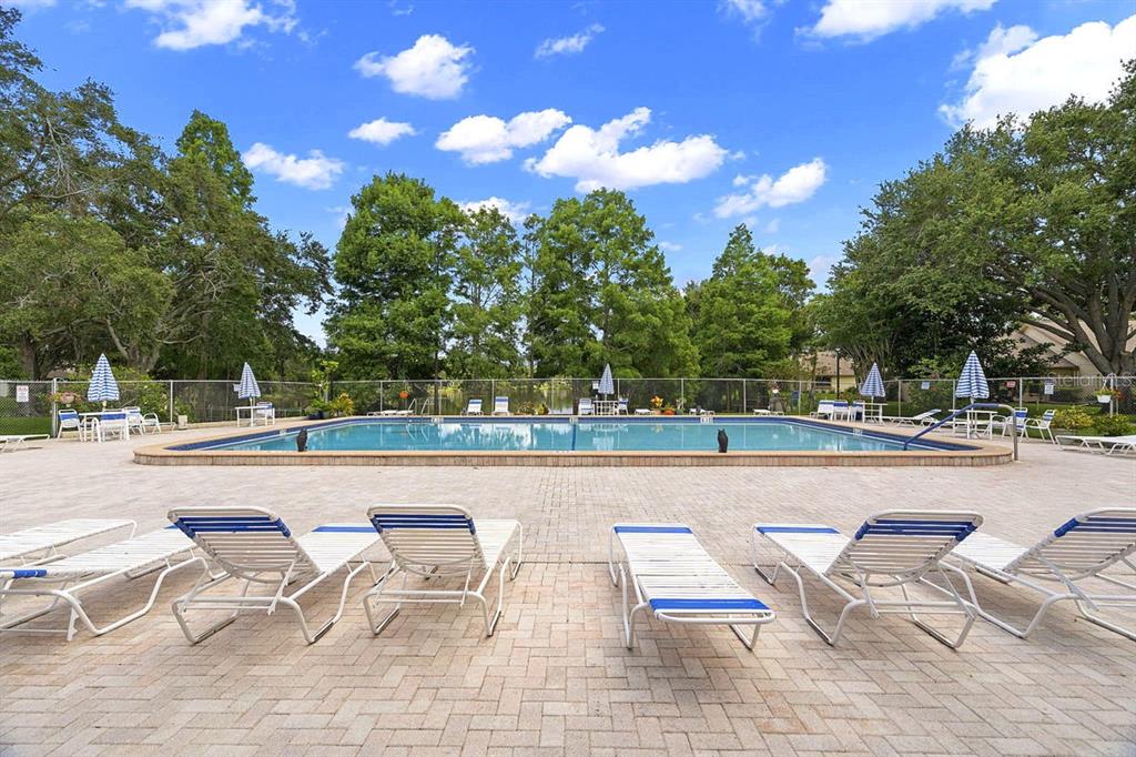 2538 Oakleaf Lane, Unit 33B Clearwater, FL 33763 - Photo 40 of 60