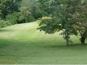 3524 McKinley Road Johnson City, TN 37604 - Photo 3 of 8 Back Yard