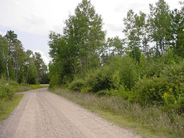 On Dillon Drive Rhinelander, WI 54501 - Photo 11 of 12 Gallery Image 11