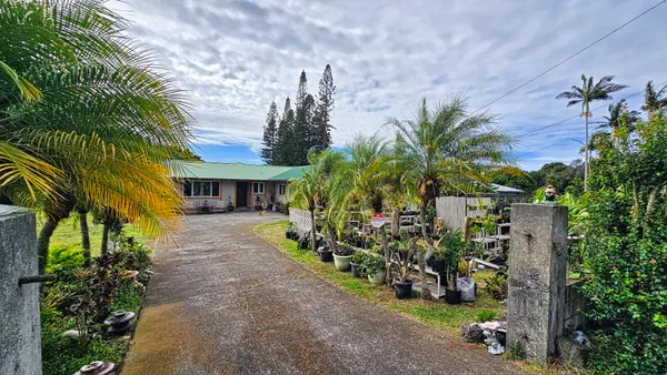 a view of a garden with plants