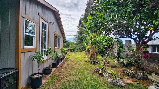 a view of a backyard with potted plants