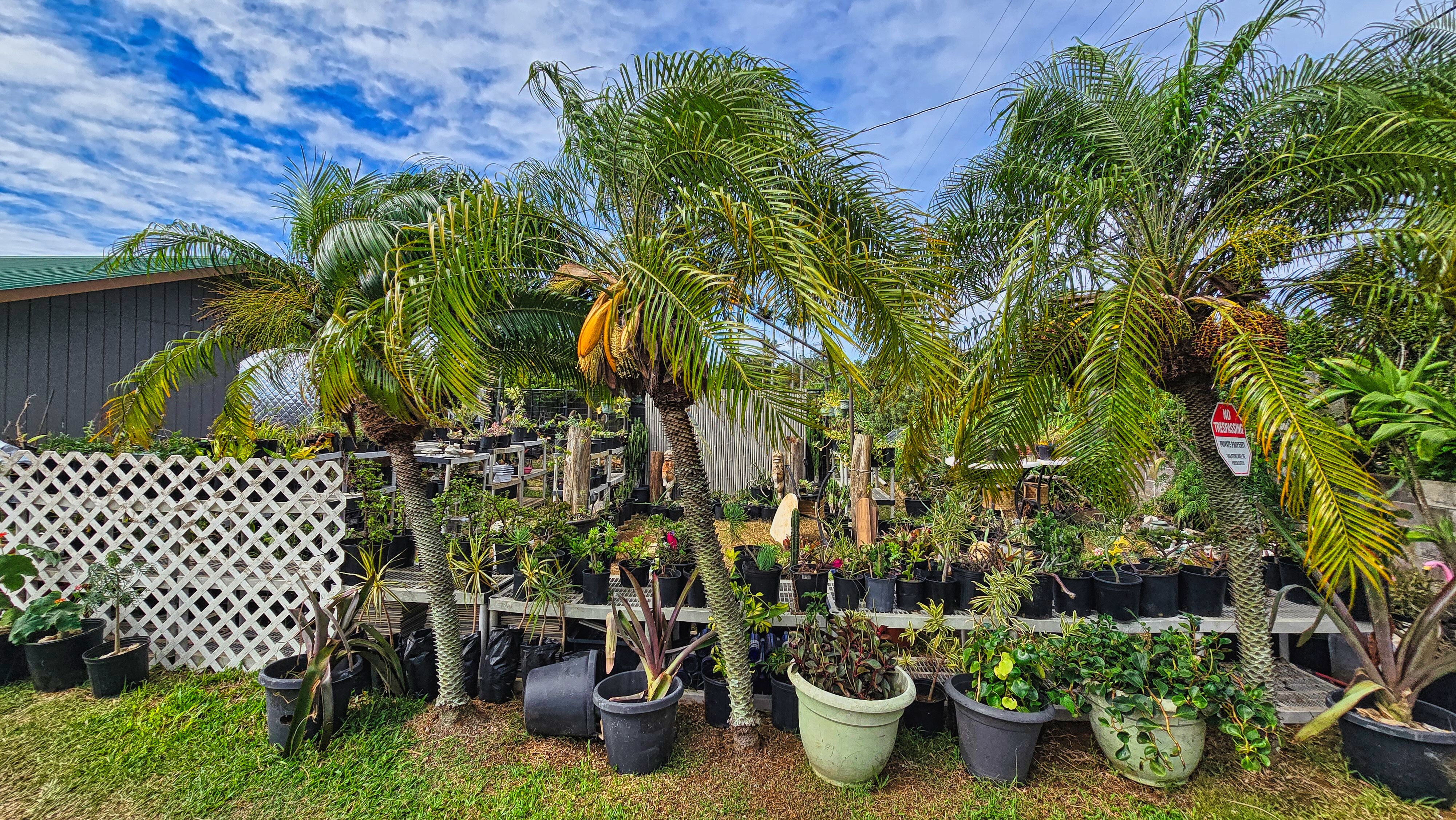 94-6491 Kamaoa Road Naalehu, HI 96772 - Photo 25 of 30 a view of a garden filled with lots of potted plants