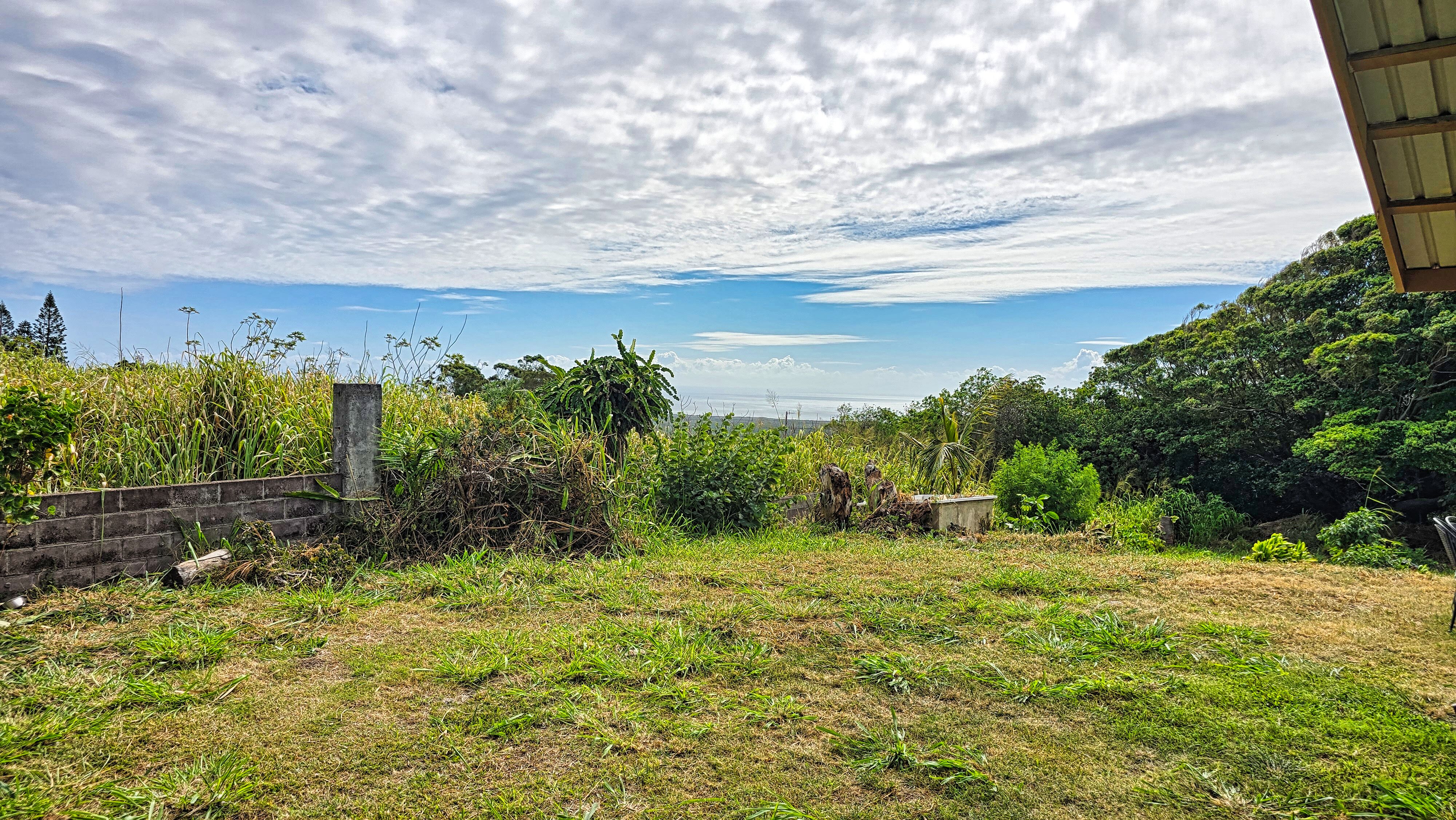 94-6491 Kamaoa Road Naalehu, HI 96772 - Photo 26 of 30 a view of a yard with an tree