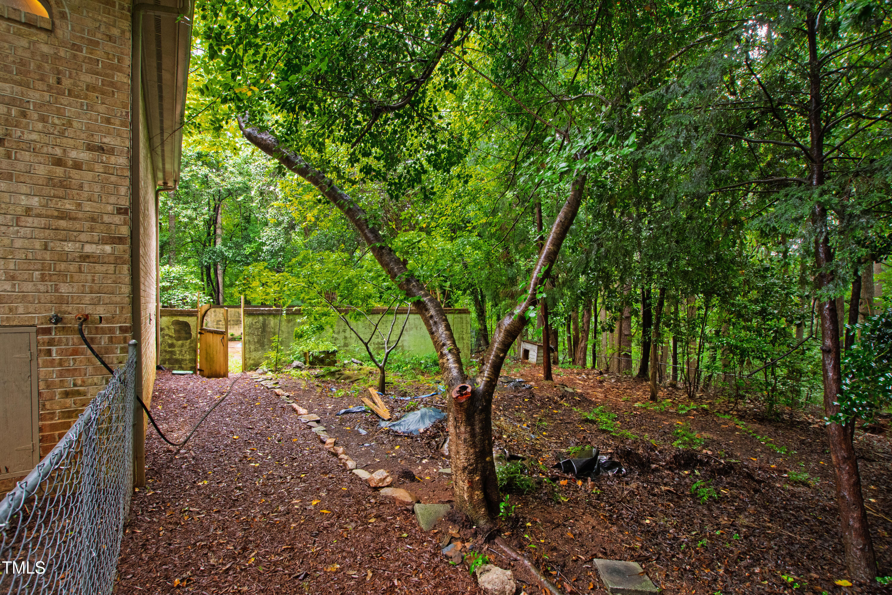 2517 High Ridge Drive Raleigh, NC 27606 - Photo 60 of 69 a view of backyard with tree