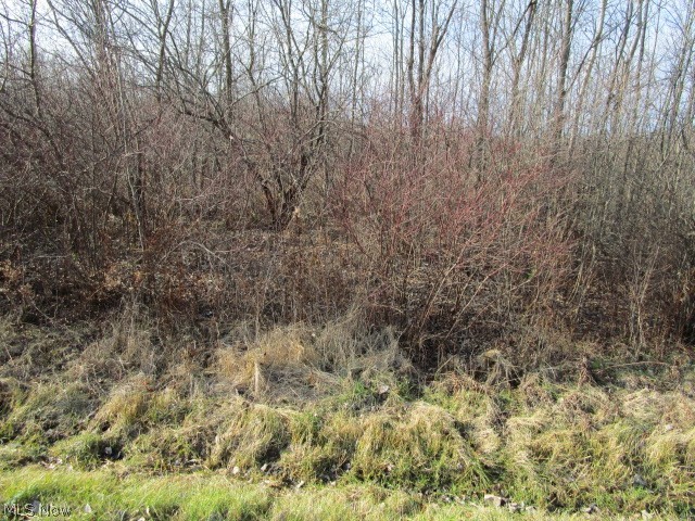 Ireland Road Windsor, OH 44099 - Photo 2 of 6