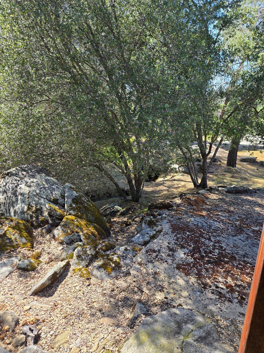 36846 Batti Road Coarsegold, CA 93614 - Photo 5 of 19