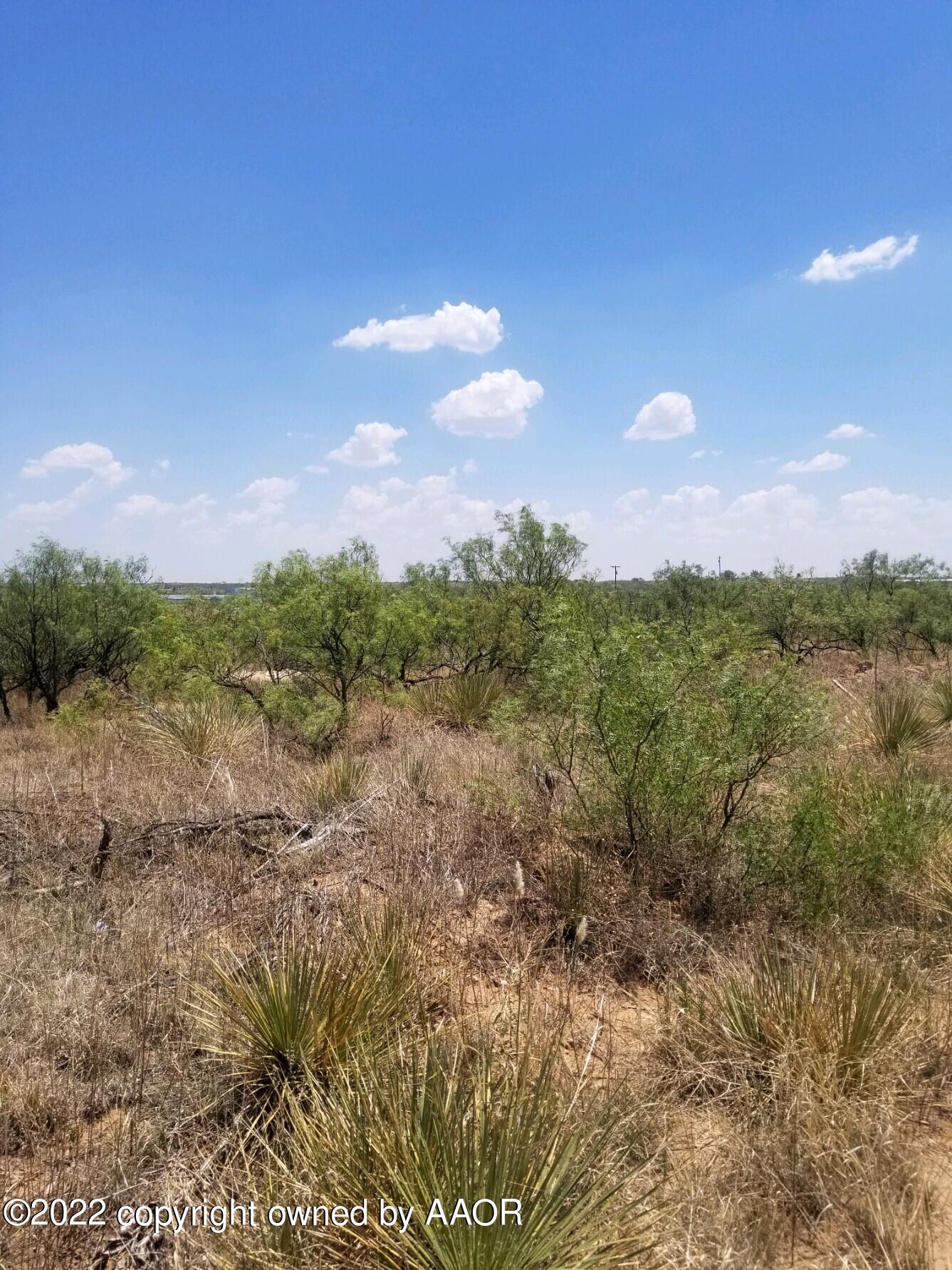 9958 Stinnett Road Fritch, TX 79036 - Photo 4 of 8 East View of Lot