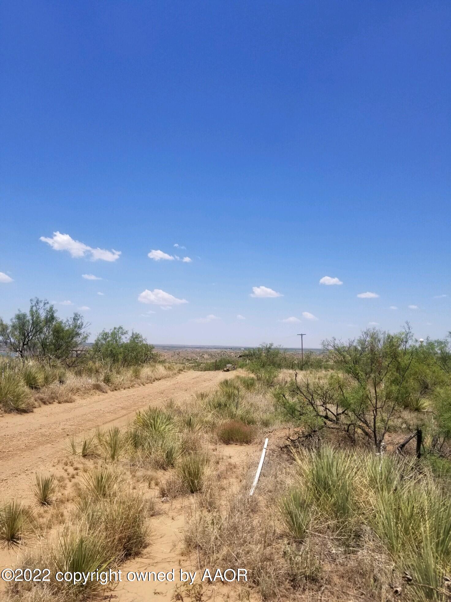 9958 Stinnett Road Fritch, TX 79036 - Photo 6 of 8 Toward Rd End