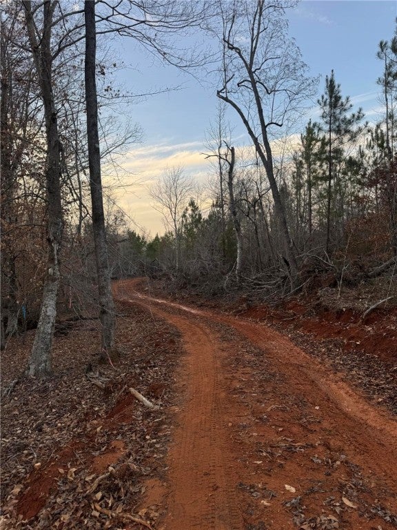 2 Old Columbus Road Opelika, AL 36804 - Photo 7 of 13 Gallery Image 7
