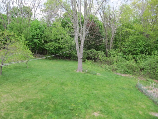 10 Carter Road Worcester, MA 01609 - Photo 6 of 26 Gallery Image 6