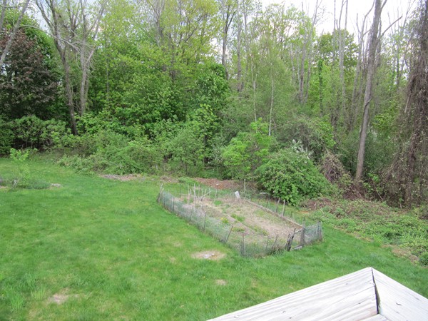 10 Carter Road Worcester, MA 01609 - Photo 7 of 26 Gallery Image 7