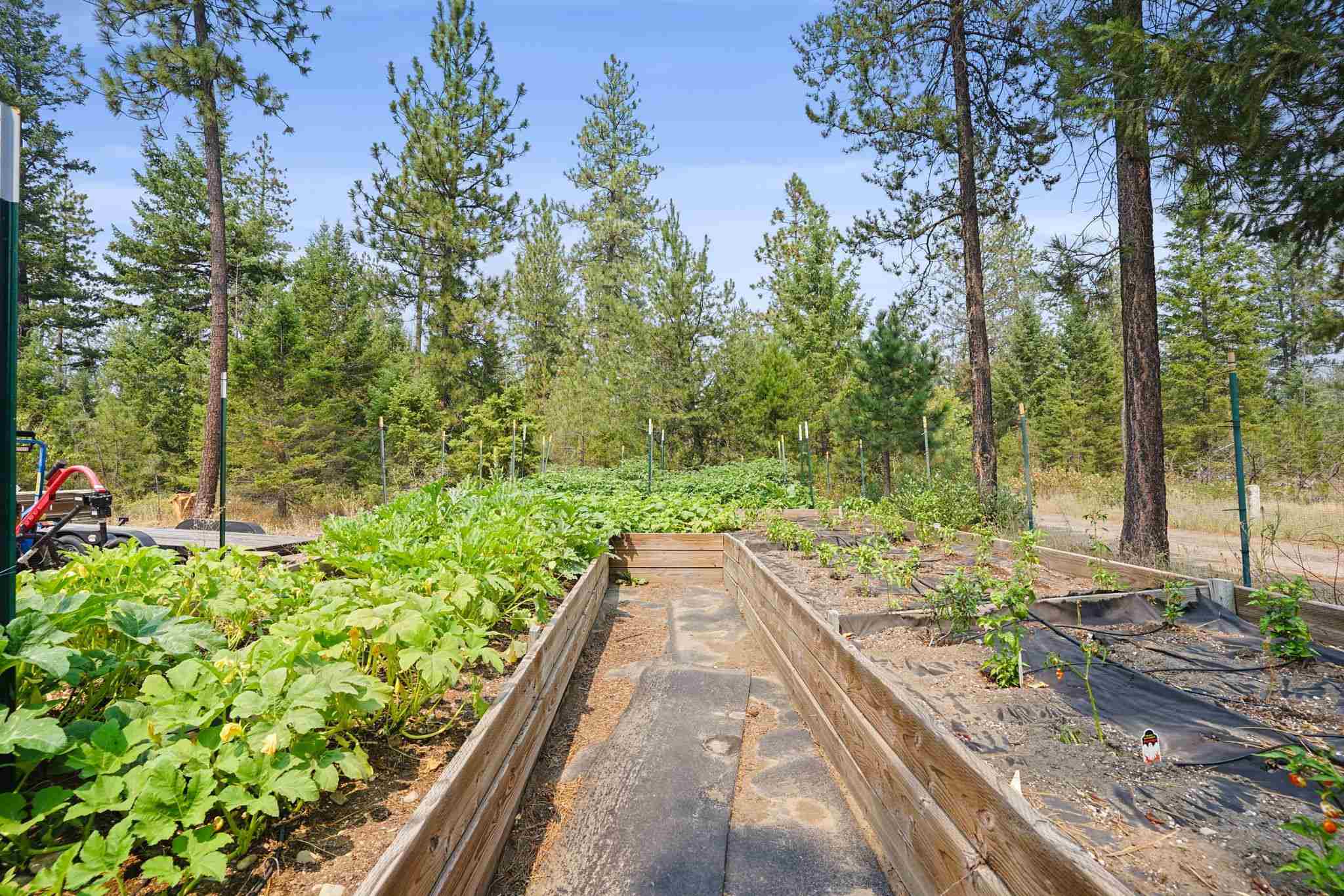 3984 Colville Road Loon Lake, WA 99148 - Photo 28 of 29 Gallery Image 28