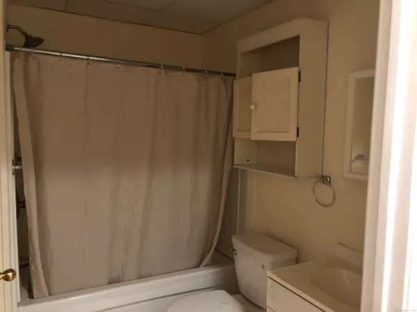 a bathroom with a shower and a toilet
