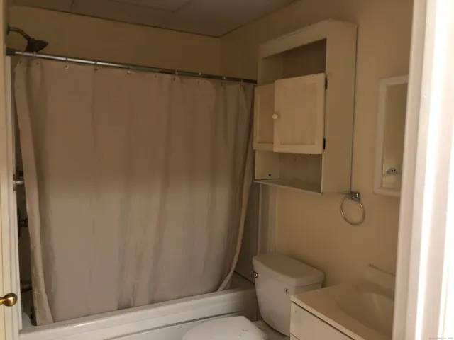 a bathroom with a shower and a toilet