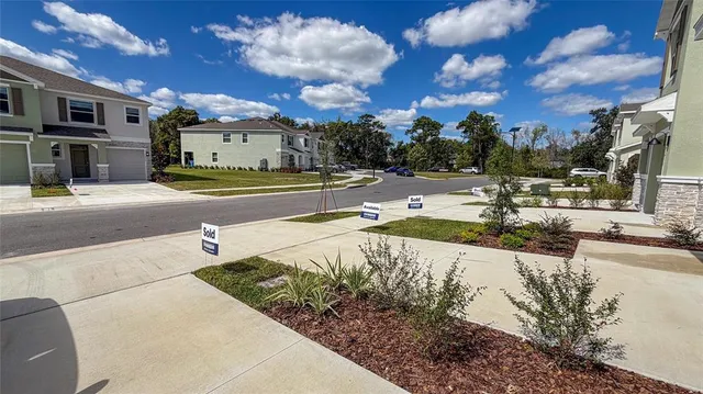 $2,200 | 11372 Velvet Apricot Drive, Land O Lakes, FL 34638