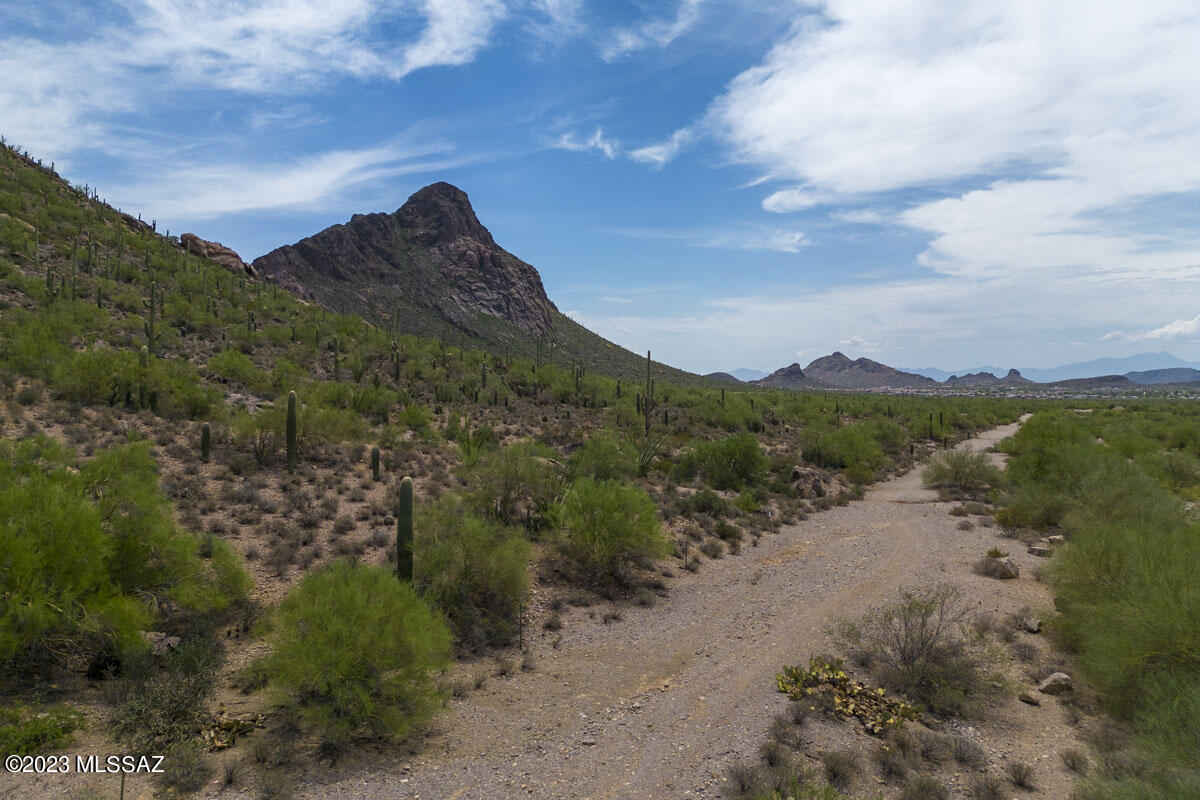 6306 South Rigby Way Tucson, AZ 85746 - Photo 4 of 8