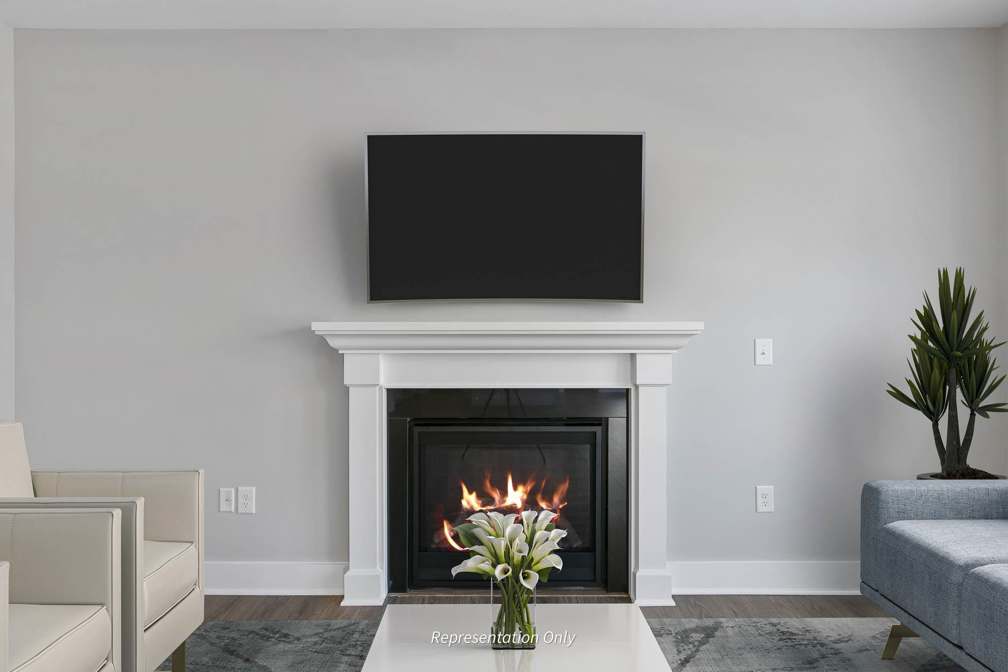8720 Maxine Street, Unit 3 Willow Spring, NC 27592 - Photo 7 of 35 a living room with furniture a fireplace and a potted plant