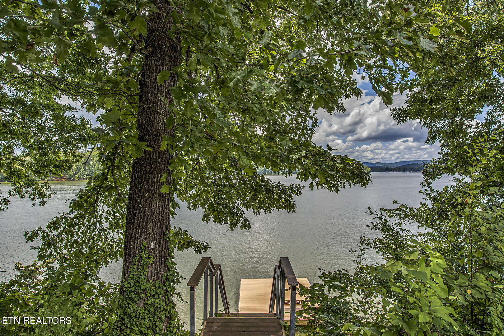 2163 Sugar Grove Valley Road Harriman, TN 37748 - Photo 47 of 58 47_SugarGroveValleyRoad_2163_DockStairs