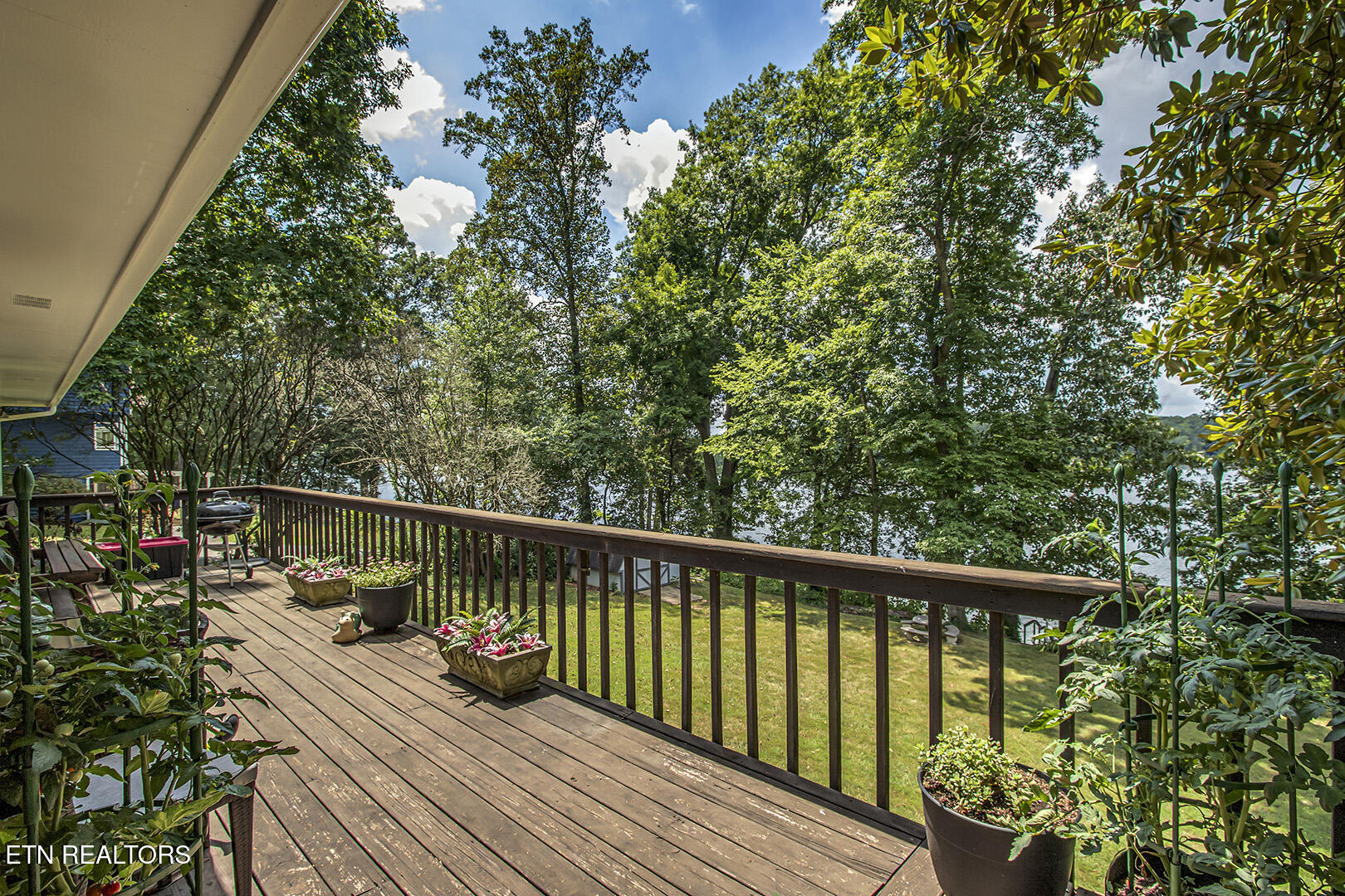 2163 Sugar Grove Valley Road Harriman, TN 37748 - Photo 8 of 58 08_SugarGroveValleyRoad_2163_Deck