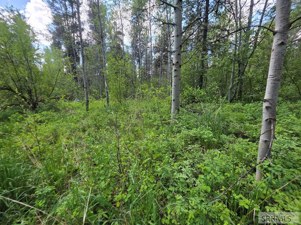 4585 East 1400 Road North Ashton, ID 83420 - Photo 18 of 31