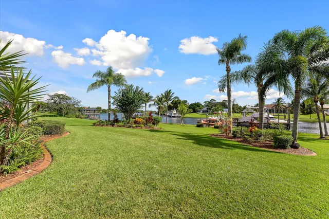 an aerial view of water body with boats and trees in the background