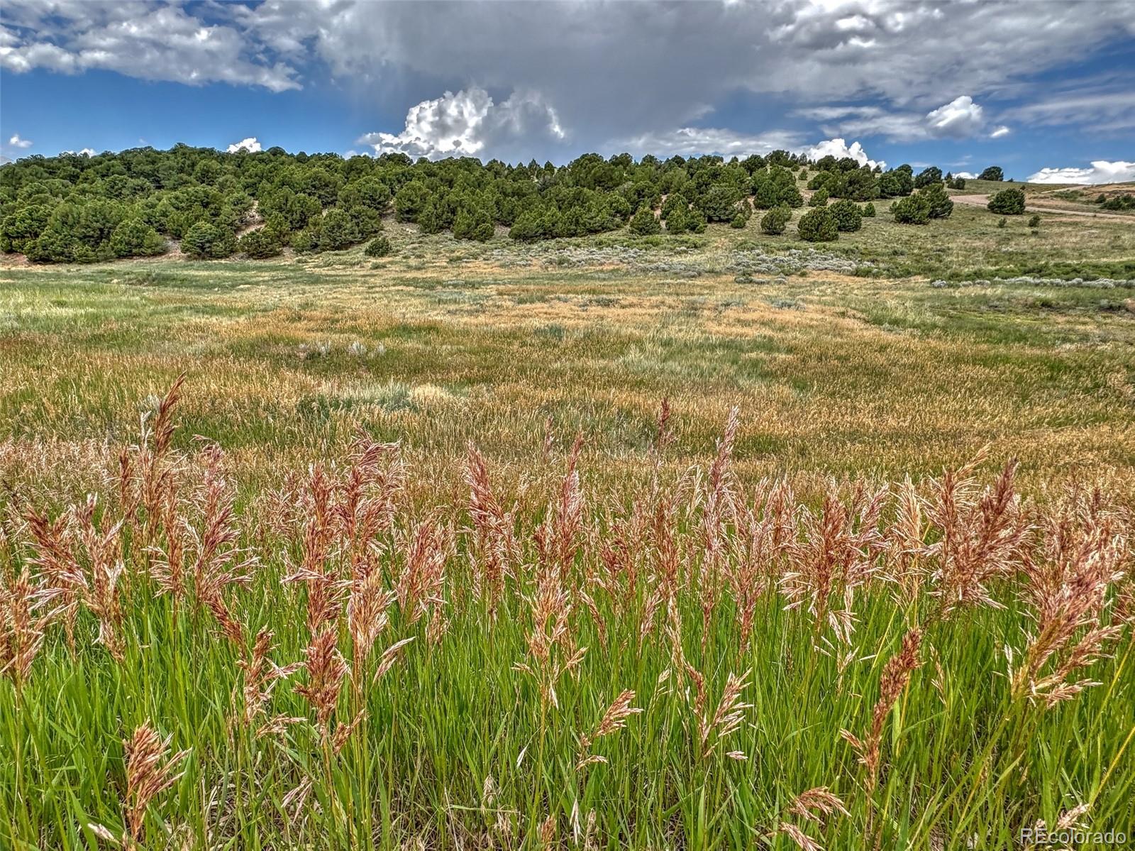 Tbd Lot 21 Tbd Road Westcliffe, CO 81252 - Photo 11 of 26